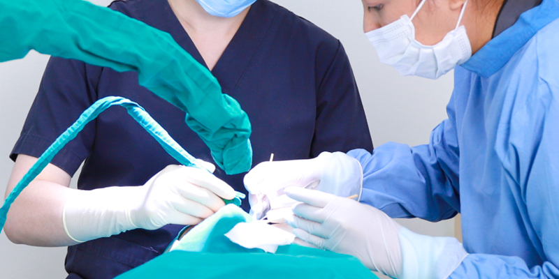 Upper & Lower Male Eyelid Surgery in Ho Chi Minh: Cost, Forms, Methods, Recovery Time and Important Notes 4 Where to Get Male Eyelid Surgery in Ho Chi Minh City