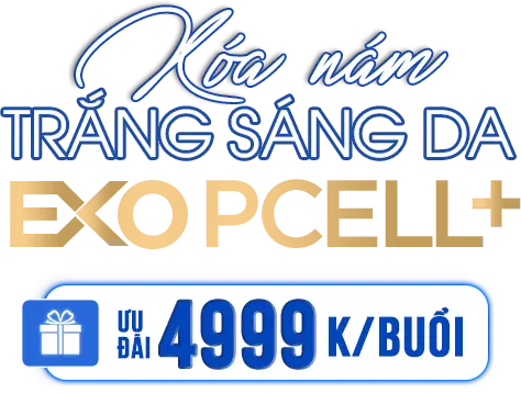 Điều trị nám Exo Pcell