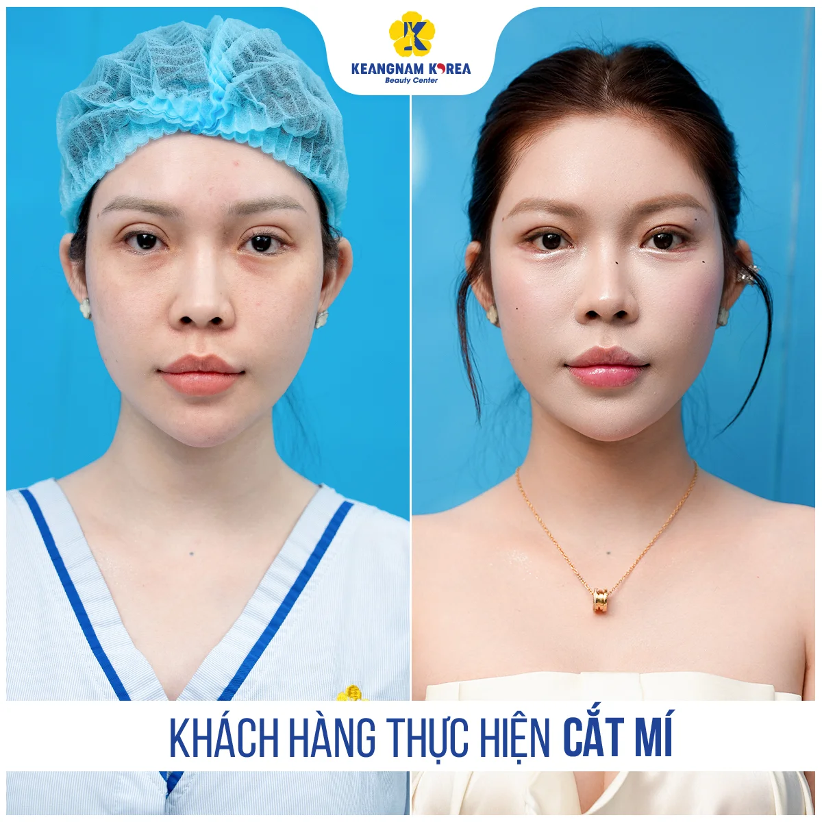 1200x1200_Cat-mi_Web2026_3