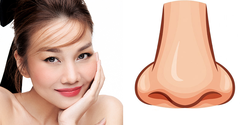 Nâng mũi tài lộc ở đâu? Các dáng mũi thu hút tài vận theo phong thủy và tướng số 3 Mũi lộc là mũi như thế nào?