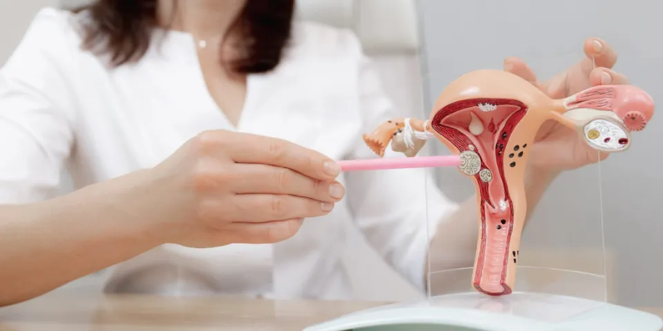 Tổng quan 9 dịch vụ phẫu thuật vùng kín hiện hành và bảng giá mới nhất 2026 7 Bảng giá phẫu thuật vùng kín 2026