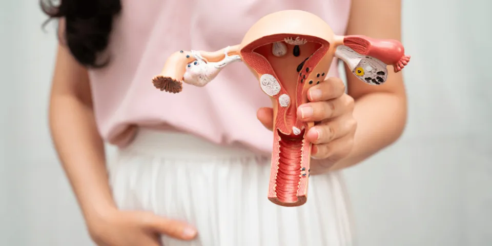 Cắt môi bé giá bao nhiêu? Cập nhập bảng giá mới nhất 2026 theo từng phương pháp 3 Bảng gái cắt môi bé
