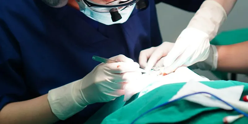 Nhấn mí vi điểm là gì? Ưu điểm và bảng giá mới nhất 2026 6 nhan mi vi diem la gi 2