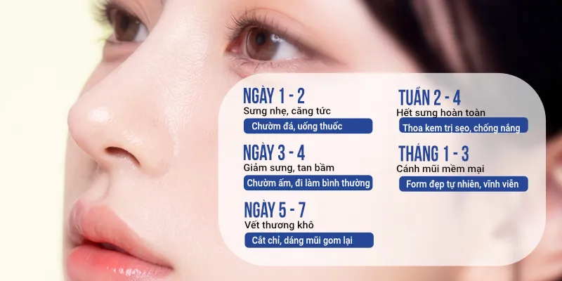 Cuộn cánh mũi bao lâu thì lành? Lịch trình hồi phục chi tiết theo ngày 4 cuộn cánh mũi bao lâu thì lành