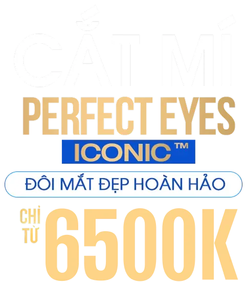 KM-6500k-cat-mi-mat