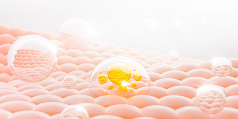 So sánh tiêm collagen gân ngựa và collagen cá hồi 2 So sánh tiêm collagen gân ngựa và collagen cá hồi